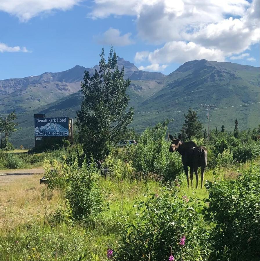 Denali Park Hotel Healy Ngoại thất bức ảnh