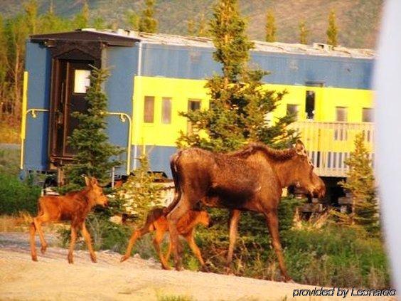 Denali Park Hotel Healy Ngoại thất bức ảnh