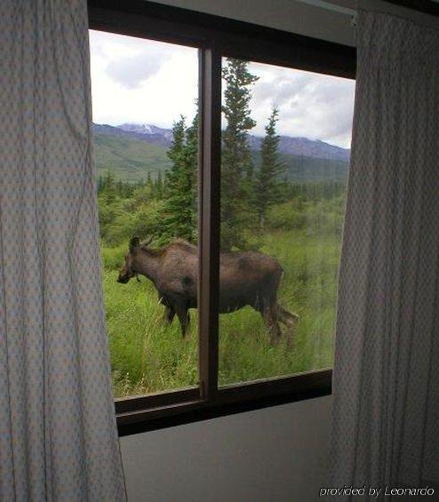 Denali Park Hotel Healy Ngoại thất bức ảnh
